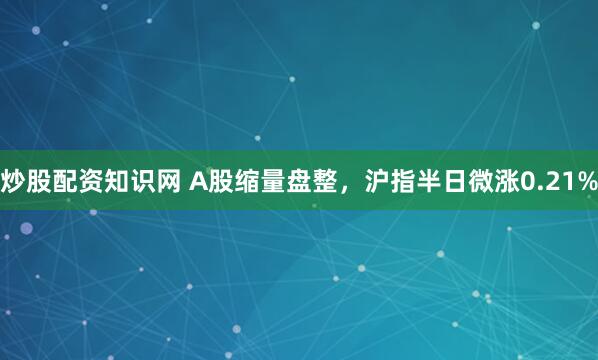 炒股配资知识网 A股缩量盘整,沪指半日微涨0.21%